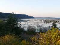 Restoring an Estuary